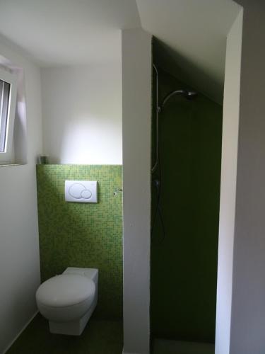 a bathroom with a toilet and a green wall at Il giardino delle ortensie in Vogogna