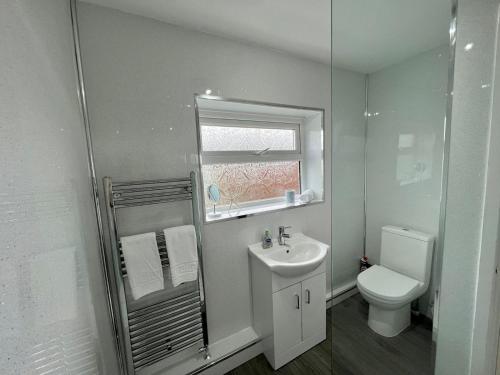 a bathroom with a toilet and a sink and a mirror at Pass the Keys Quiet Hidden Gem in Swansea CitySleeps 5 in Swansea