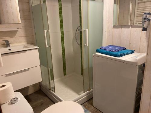 y baño con ducha y aseo. en Studio indépendant au calme à Biarritz en Biarritz