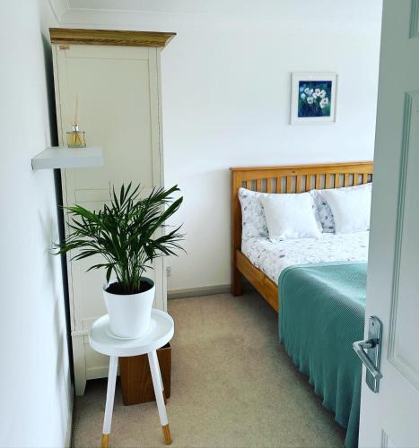 a bedroom with a bed and a potted plant on a table at Immaculate and Quiet Double Room - Great for Business and Travel Guests in Thorpe Saint Andrew