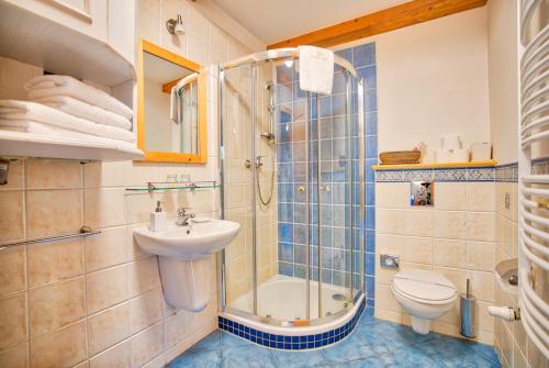 a bathroom with a shower and a sink and a toilet at Apartmán-Hotel Jítravský Dvorec in Rynoltice