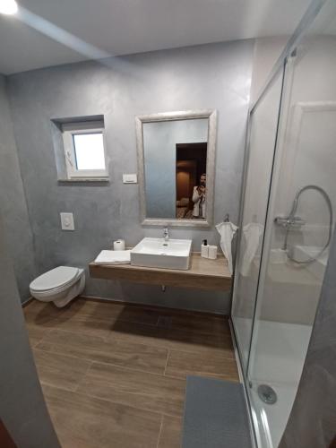a bathroom with a sink and a toilet and a mirror at Apartman Noel in Izimje