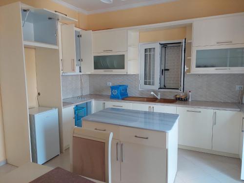 Cuisine ou kitchenette dans l'établissement Emi's Villa