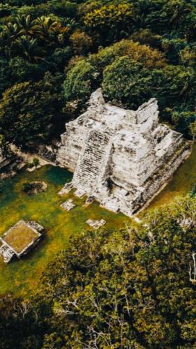 an old building in the middle of a forest at Ocean View PLAYA DEL NIÑO Rooms & Apartments in Cancún