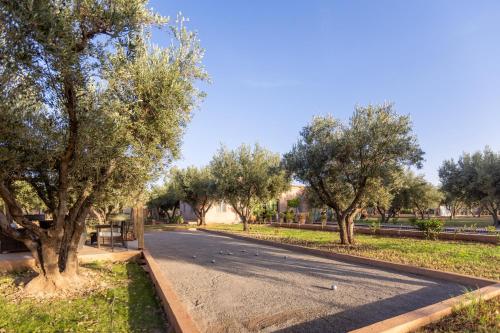 an empty road in a park with trees at Villa Serena Marrakech - Maison d'hôtes in Marrakech