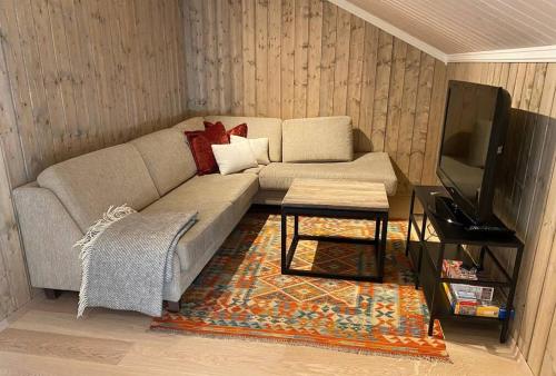 uma sala de estar com um sofá e uma televisão em Kikut Panorama, Geilo - sleeps 9pax, ski in/out - Modern 2 floor apart em Geilo