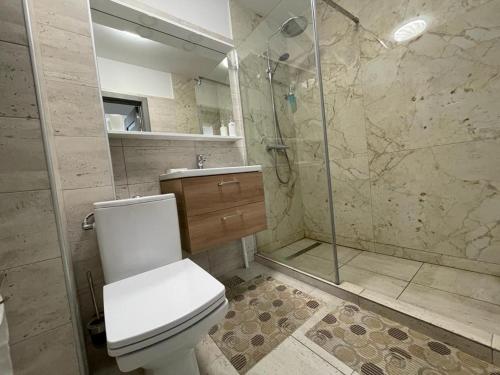 a bathroom with a white toilet and a shower at Lucky Home Timisoara 2 in Timişoara