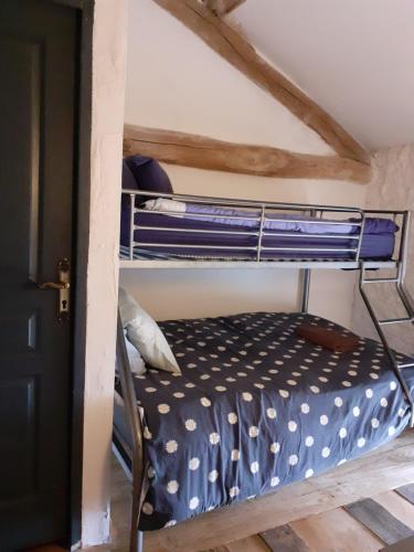 1 dormitorio con 1 litera en una habitación en ecurie le buguet en Saint-Antoine-Cumond