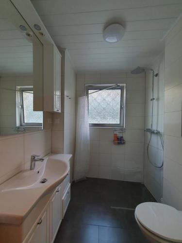 ein Bad mit einem Waschbecken und einem WC in der Unterkunft Gemütliches Privatzimmer an der Uniklinik Mainz. Sehr zentral in Mainz