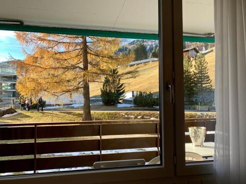 a window with a view of a field outside at La Suite Swiss Alps in Davos