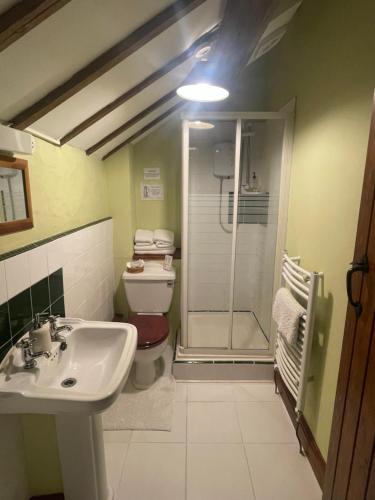 een badkamer met een toilet, een wastafel en een douche bij The Old Barn in Barry
