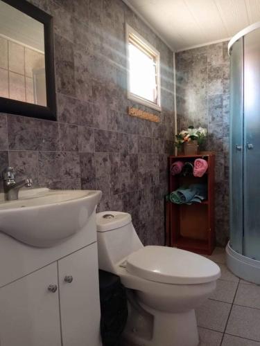 een badkamer met een wit toilet en een wastafel bij Los Nogales in Población Errázuriz