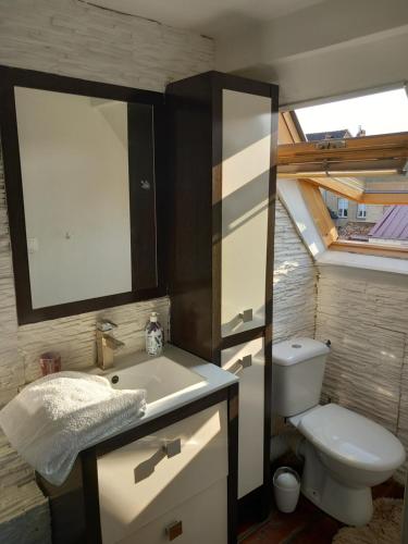 La salle de bains est pourvue d'un lavabo, de toilettes et d'un miroir. dans l'établissement Appart'Hotel Saint-Omer, à Saint-Omer