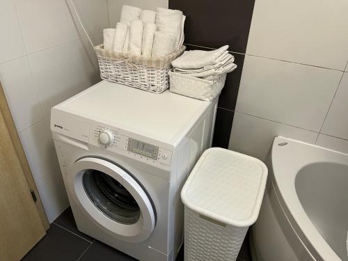 a laundry room with a washing machine and a toilet at Holiday Home Mihaela in Višnjan