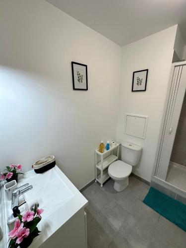 une salle de bain blanche avec des toilettes et un lavabo dans l'établissement Appartement avec vue sur jardin Paris-Disney-Parking privé 'PKN MEAUX', à Meaux