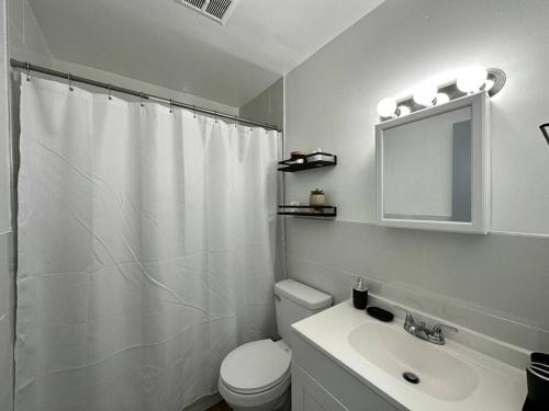 a bathroom with a toilet and a sink and a mirror at GREAT VALUE & Stylish, Queen Beds, W/D, Free Park in Schenectady