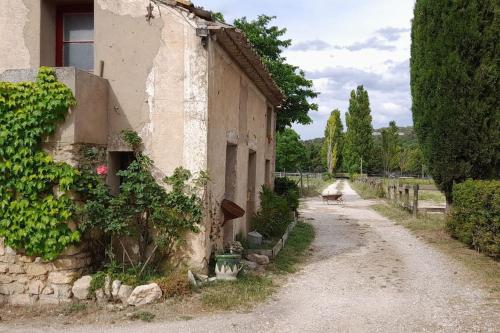 une route vide à côté d'un bâtiment planté de vignes dans l'établissement Chambre d'Hotes Lamanon, avec ou sans petit déjeuner - Domaine Les Peupliers -, à Lagnes