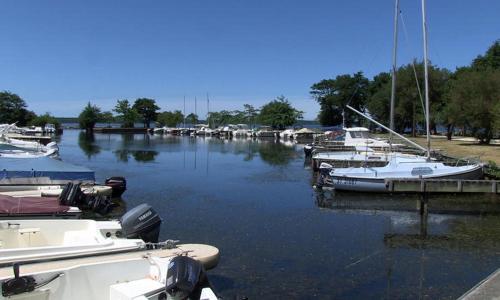Un tas de bateaux sont amarrés dans un port de plaisance dans l'établissement CAMPING GASTES 617b, à Gastes