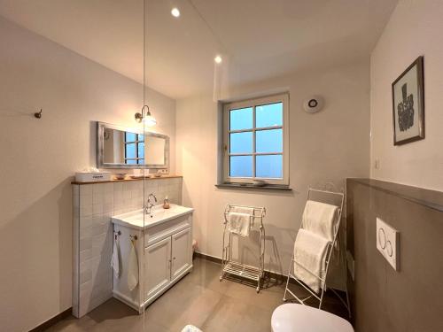 La salle de bains est pourvue d'un lavabo et d'un miroir. dans l'établissement Villa Rosenhof (2 Personen +), à Lindau