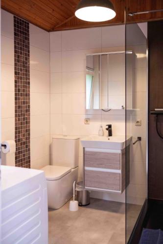 a bathroom with a toilet and a sink and a mirror at Suedseeurlaub2 - Ferienhaus in Otterndorf in Otterndorf