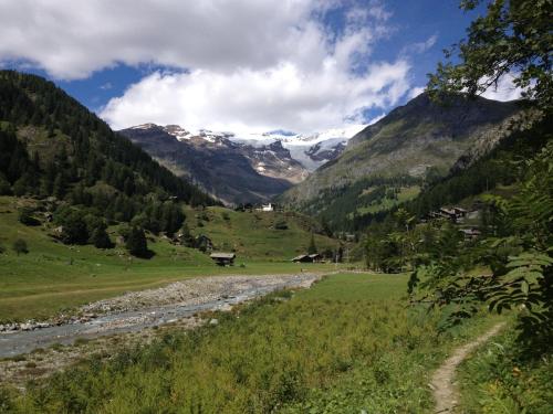 a river in a field with mountains in the background at Hotel Nordend in Gressoney-la-Trinité