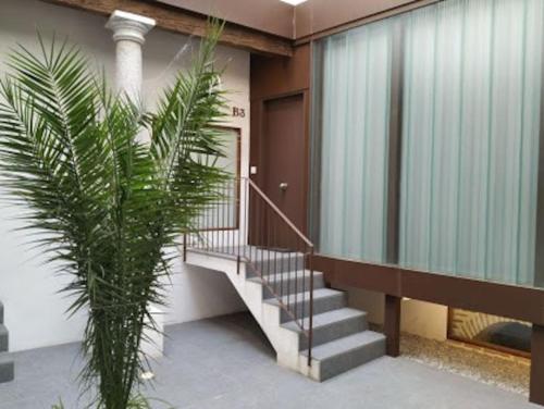 La Bellota del Rey - Alojamiento Casco Histórico