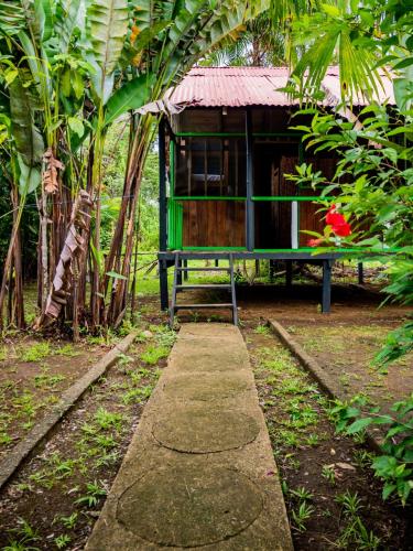 Ecohotel Riomar Mecanaにある庭
