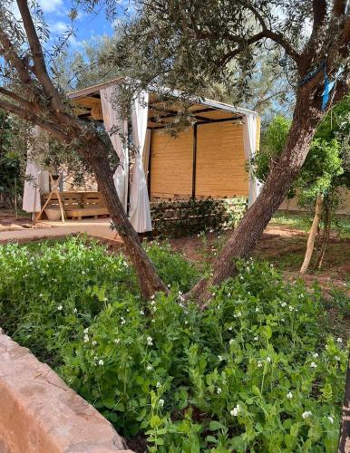 Gallery image of Rose Garden Dades in Iqouassene