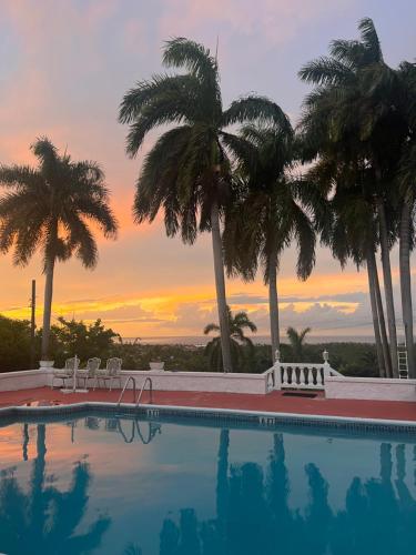 a swimming pool with palm trees and a sunset at The Lodge @ Peaceful Palms in Montego Bay