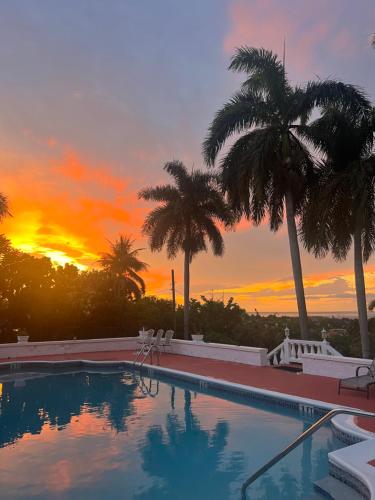 a swimming pool with palm trees and a sunset at The Lodge @ Peaceful Palms in Montego Bay