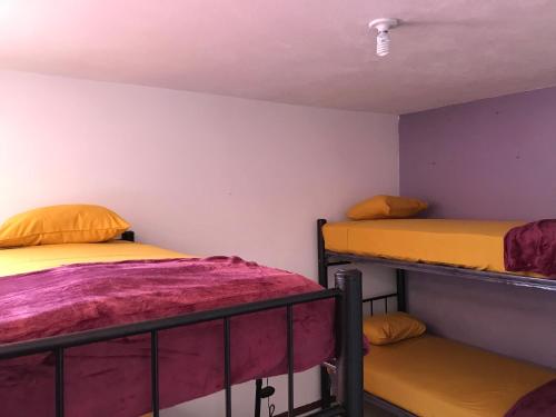 two bunk beds in a room with purple walls at Santísimo Hostal Boutique in Oaxaca City