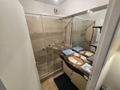 La salle de bains est pourvue d'un lavabo et d'une douche. dans l'établissement Appartement super, à Neuilly-sur-Seine