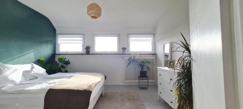 1 dormitorio con 1 cama y algunas plantas y ventanas en Refugium 2020, en Marienheide