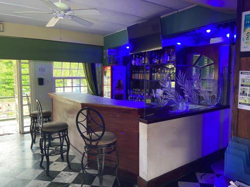 奧喬里奧斯的住宿－Firefly at Sandcastle，酒吧,在带凳子的房间里拥有蓝色灯光