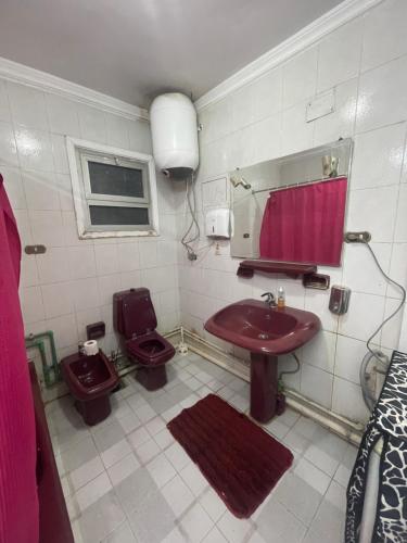 La salle de bains est pourvue d'un lavabo rouge et de toilettes. dans l'établissement شقة مفروشة مدينة نصر, au Caire