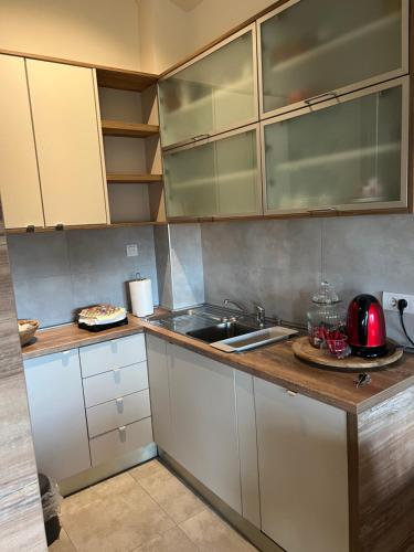 a kitchen with a sink and a counter top at Apartment ON TOP 23 in Belgrade