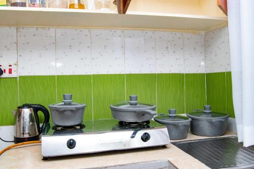 cocina con fogones y azulejos verdes y blancos en Tina's 1 BR Apartment with Fast Wi-Fi, Parking and Netflix - Kisumu, en Kisumu