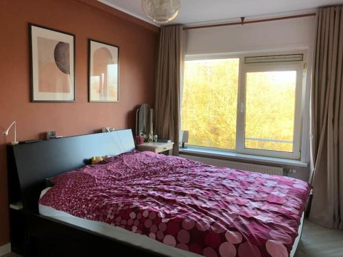 FREE PARKING Entire cozy house in Amsterdam Noord
