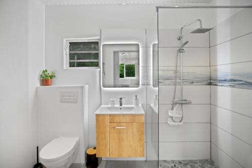 a bathroom with a toilet and a sink and a shower at Le Havre Vert avec Piscine et Evènements autorisés in Saint-Joseph
