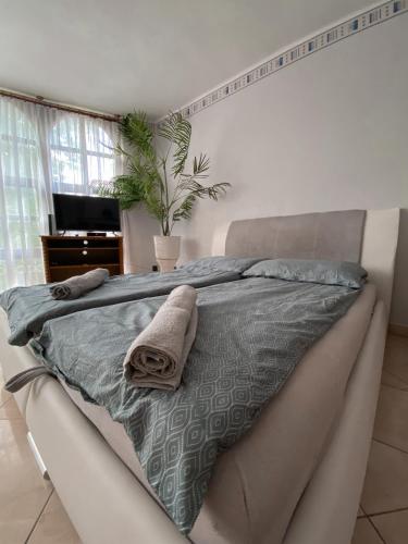a bed with a gray blanket and a plant on it at Omega Vendégház in Miskolc