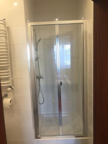 y baño con ducha y puerta de cristal. en Pensjonat Trzy Stawy, en Jelcz