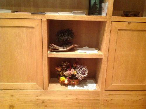 a wooden cabinet with two plants in it at Hotel Villa Rina in Bormio