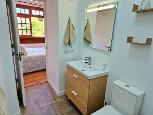 een badkamer met een toilet, een wastafel en een spiegel bij Jacaranda Azul Icod de los Vinos in Icod de los Vinos