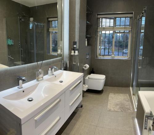 a bathroom with a sink and a shower and a toilet at The Chill Zone Sleeps 4 in London