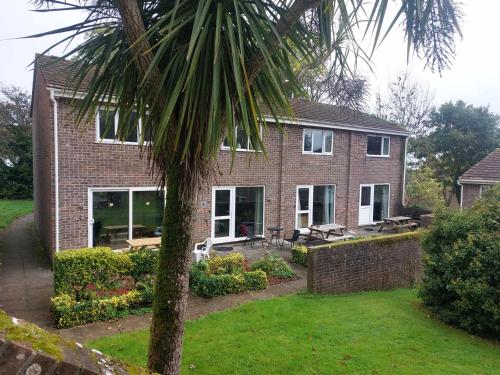 a house with a palm tree in front of it at 78 Atlantic Reach in Newquay