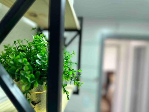a green plant in a pot on a window sill at Apartamento há 5 min do Centro de Criciúma. in Criciúma