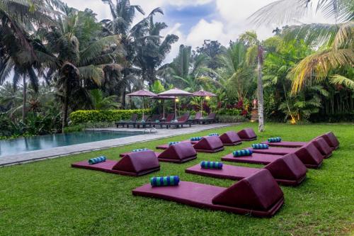 une rangée de chaises longues violettes sur l'herbe près d'une piscine dans l'établissement Pertiwi Bisma Ubud, à Ubud