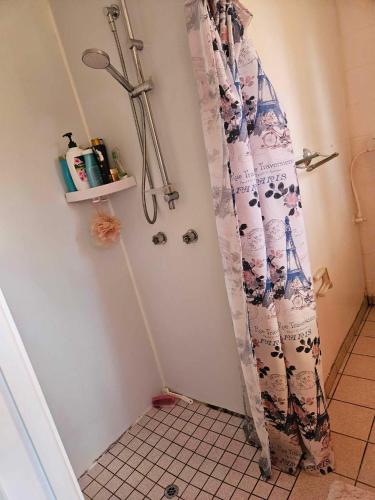 a shower with a shower curtain in a bathroom at Mirimiri Spa Homestay in Ngatangiia