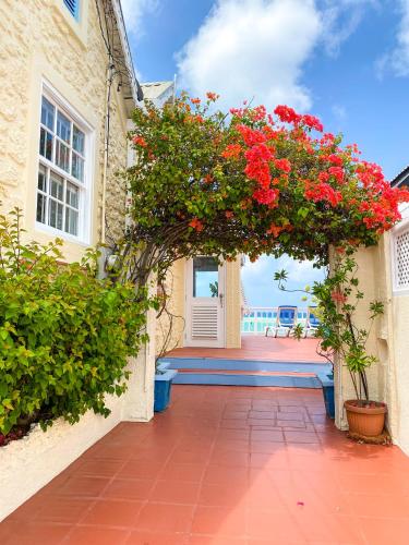 Jardí fora de Villa Jarrow