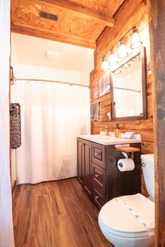 a bathroom with a sink and a toilet and a mirror at Charleys Cabin in Nashville
